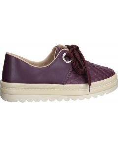 Love Rio Maple Lace up Sneakers - Wine